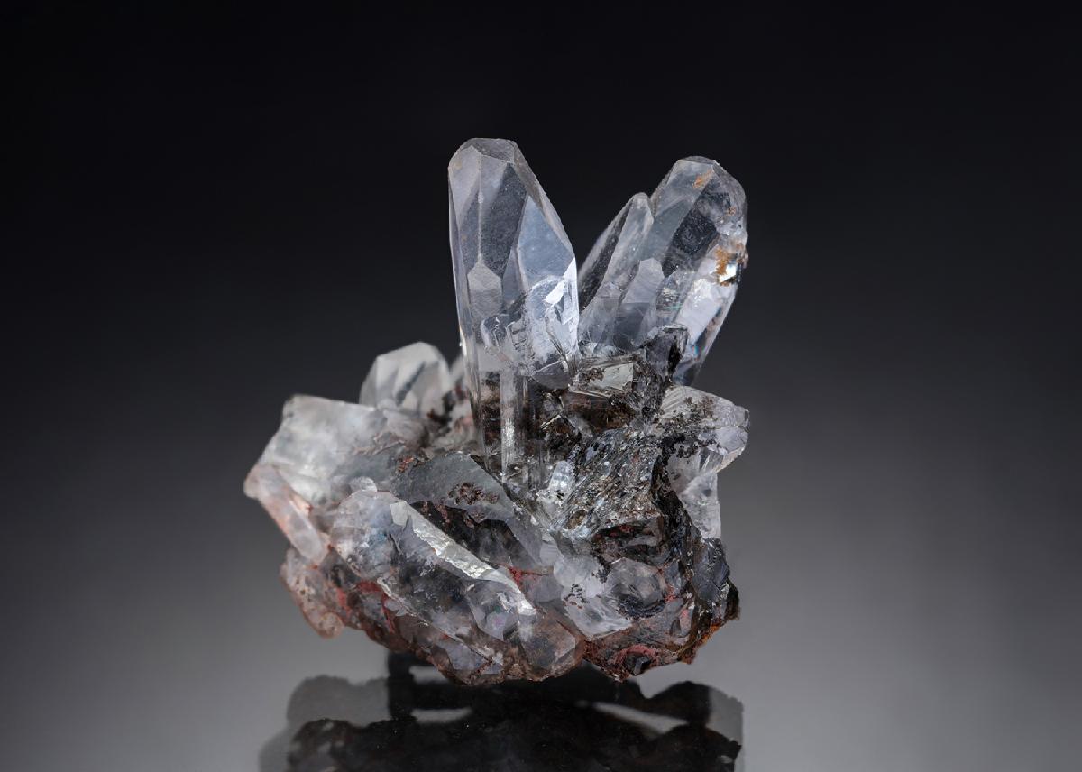 CC33407 specimen image