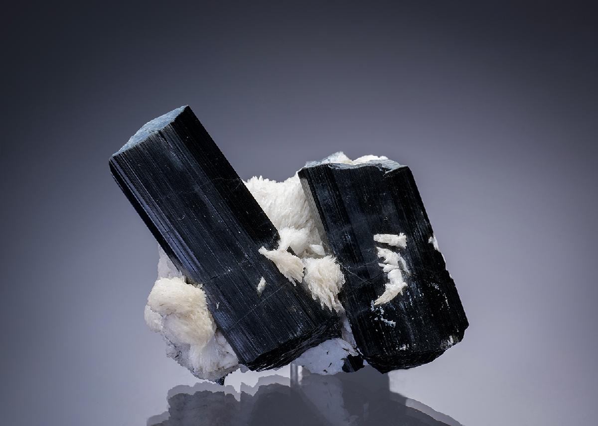 CC33425 specimen image