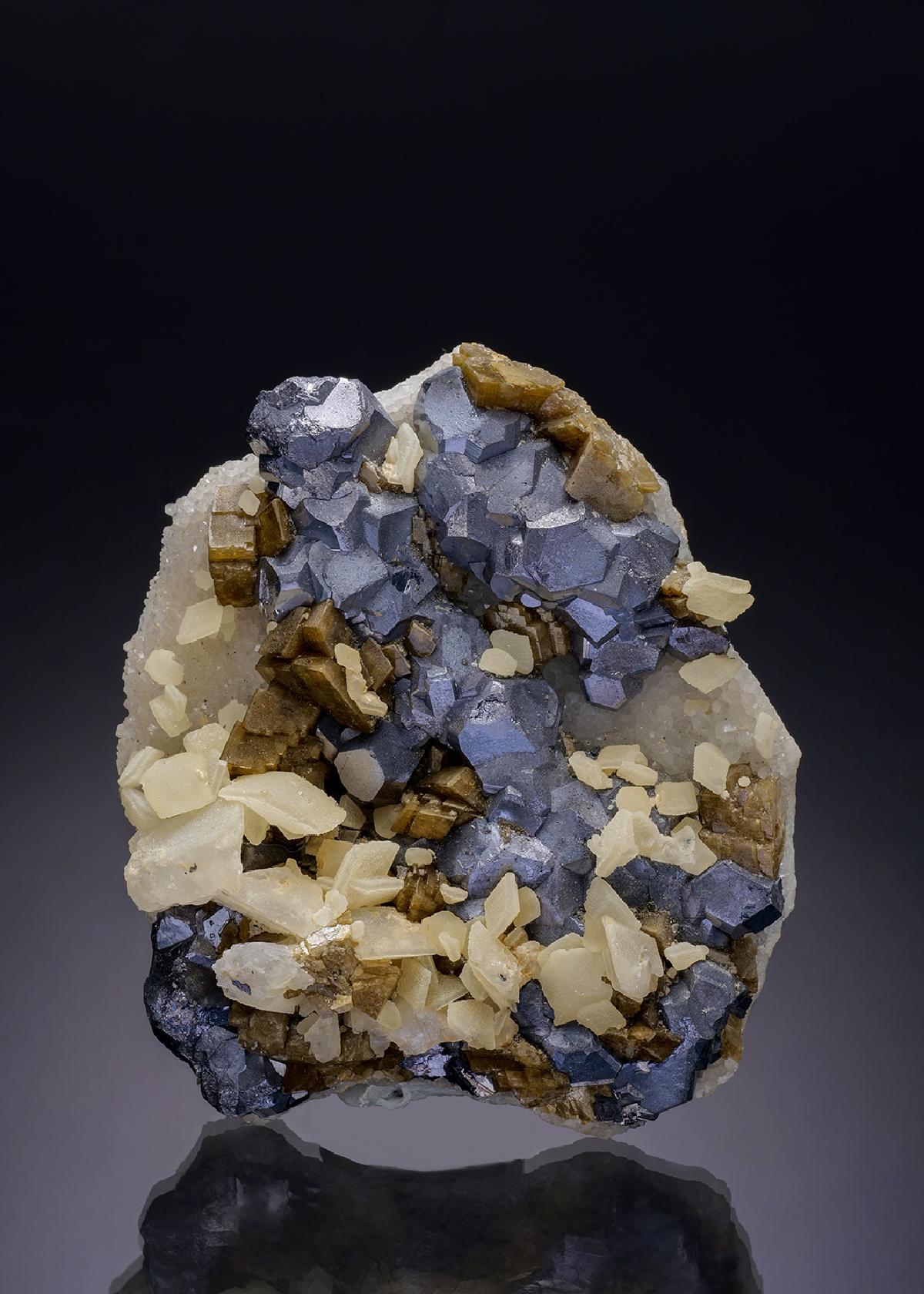 CC33459 specimen image