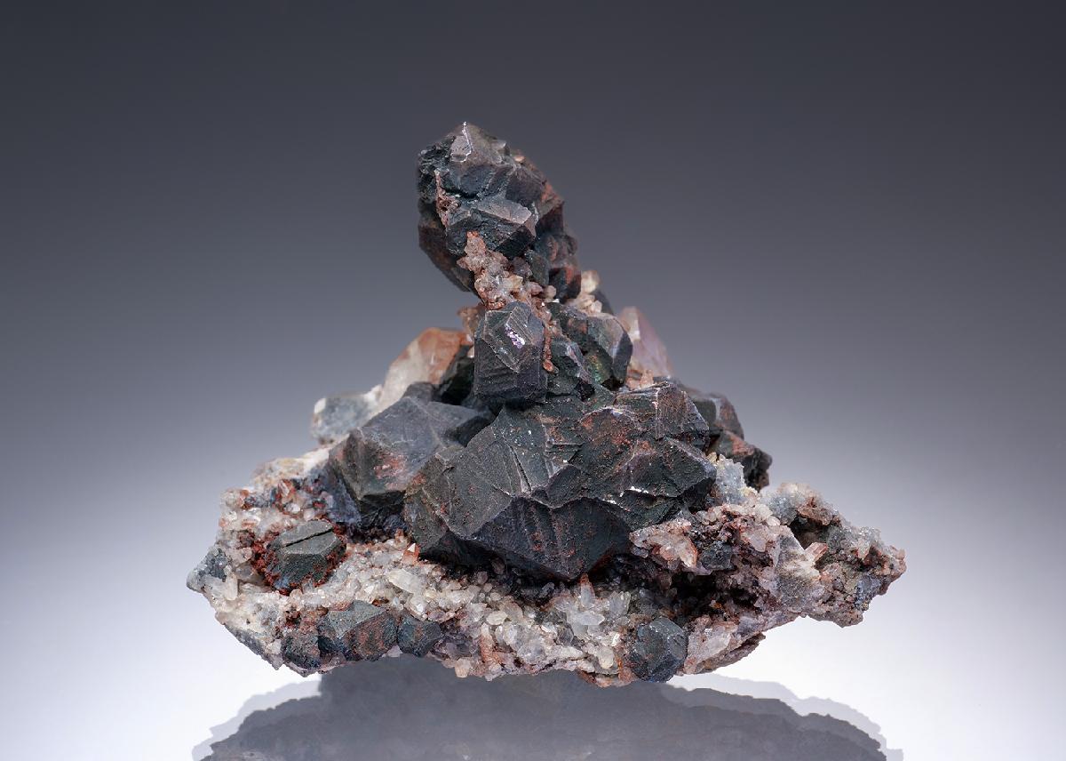 CC33477 specimen image