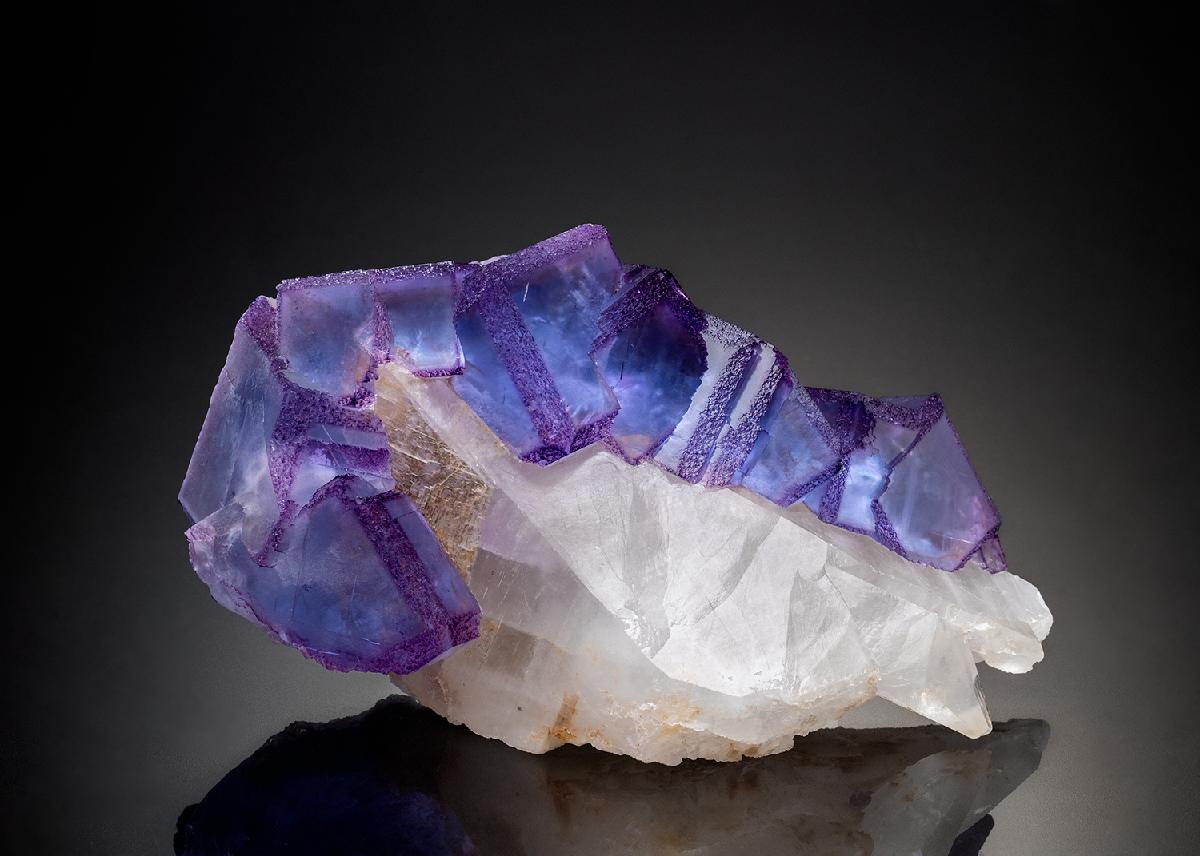 CC34256 specimen image