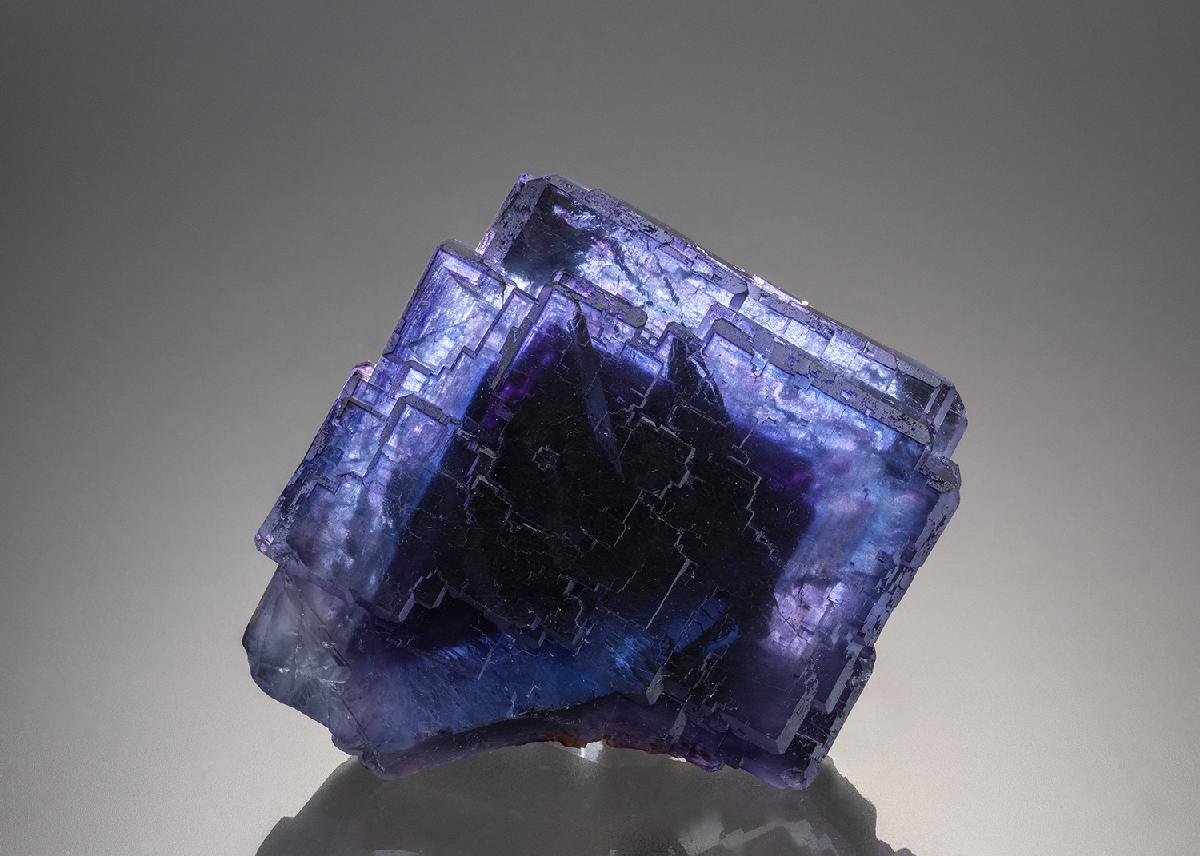CC34262 specimen image