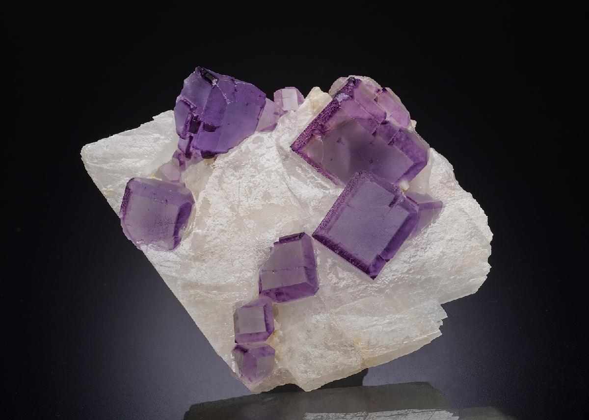 CC34319 specimen image