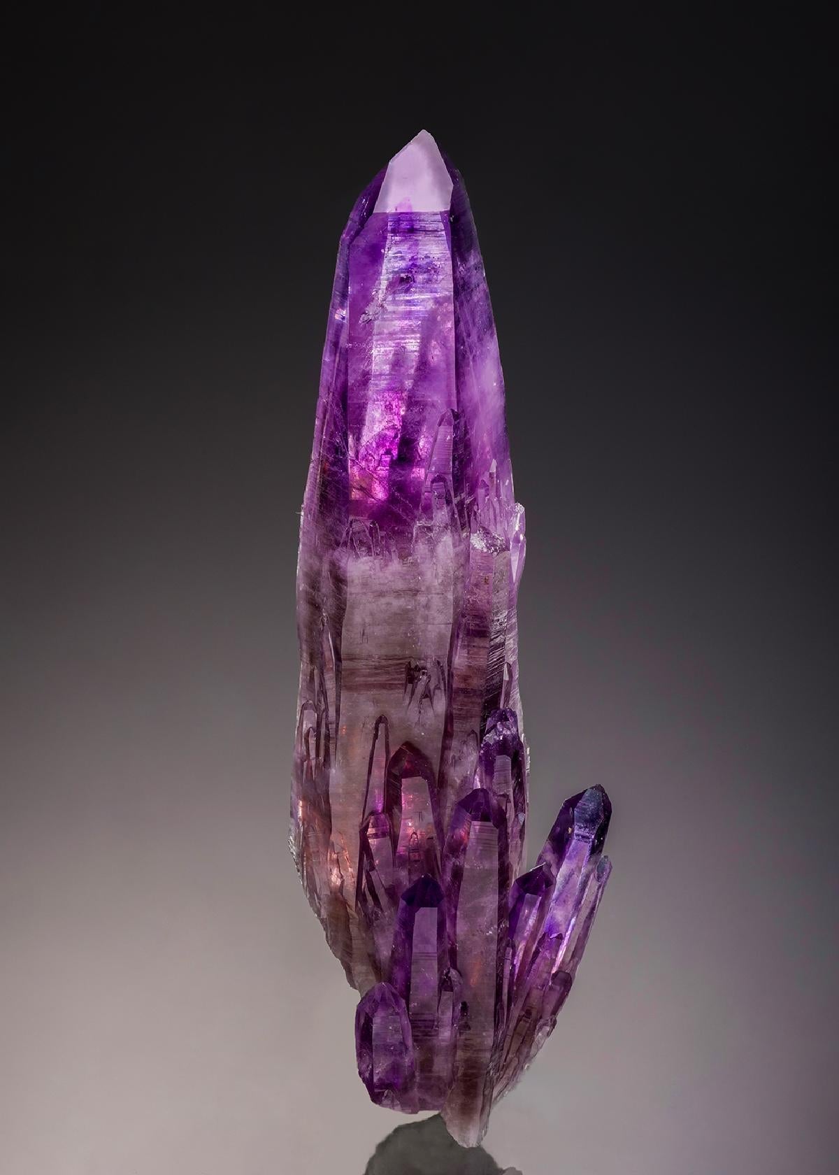 CC34410 specimen image