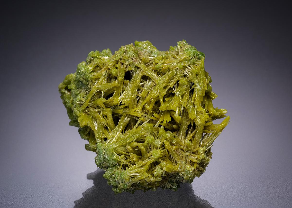 CC34425 specimen image