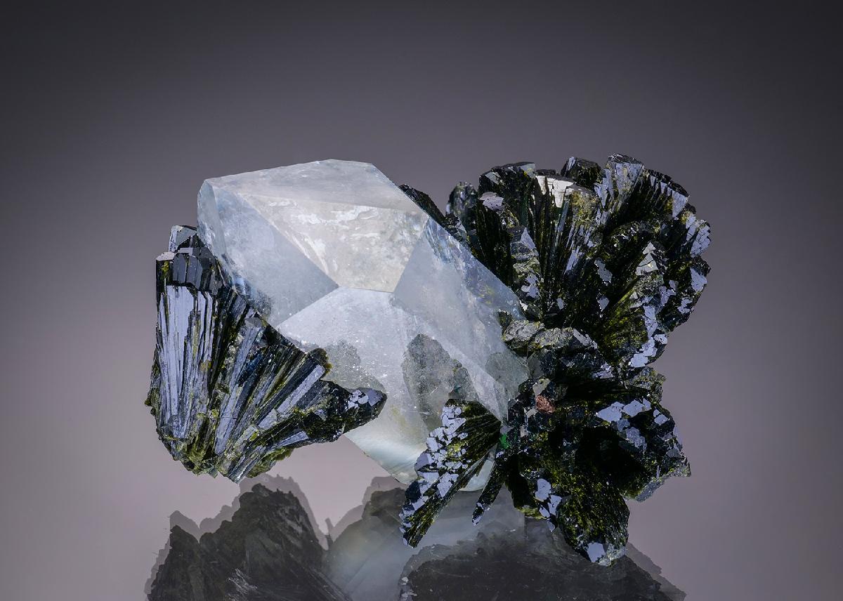 CC34766 specimen image