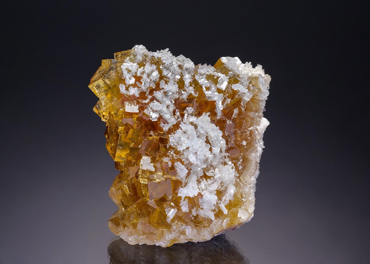 CC34781 specimen image