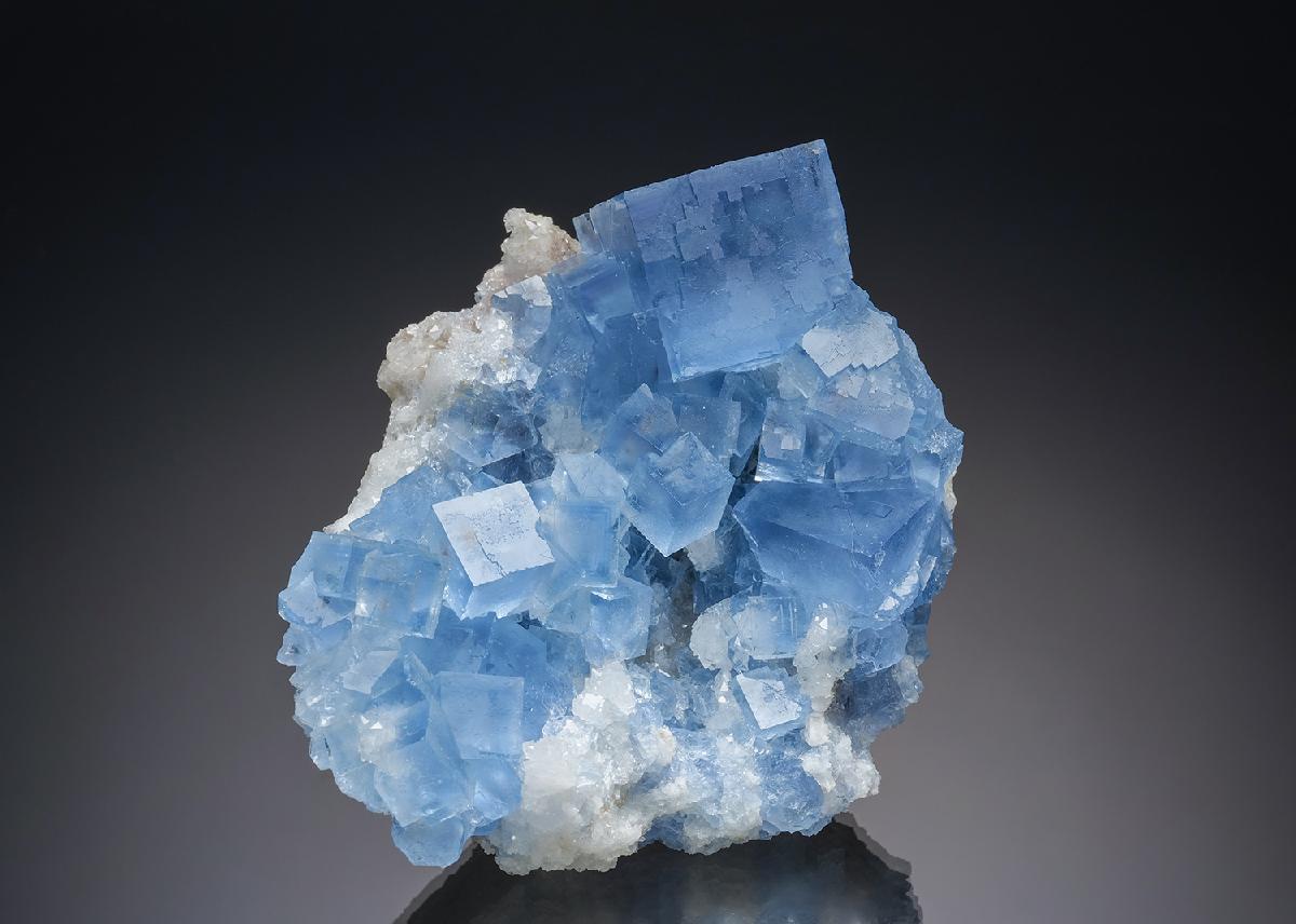 CC34889 specimen image