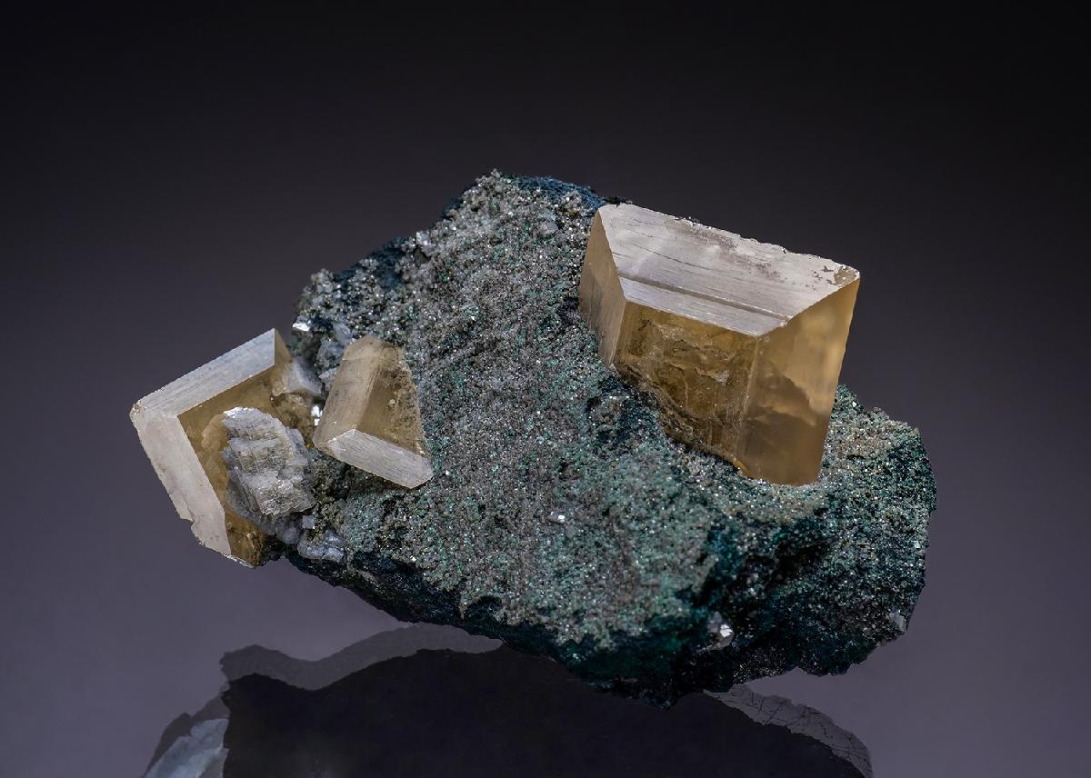 CC35189 specimen image