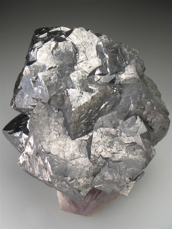 CC357 specimen image