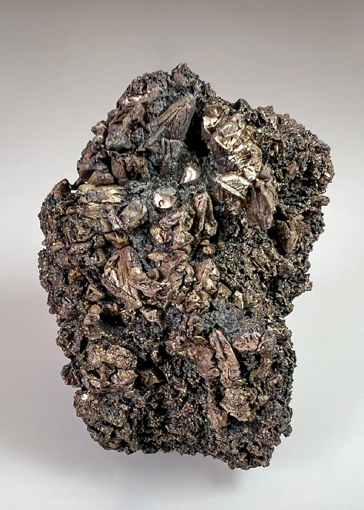 CC36657 specimen image