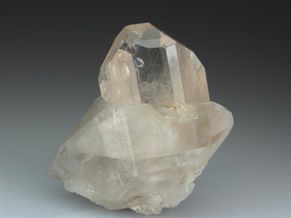 CC3759 specimen image