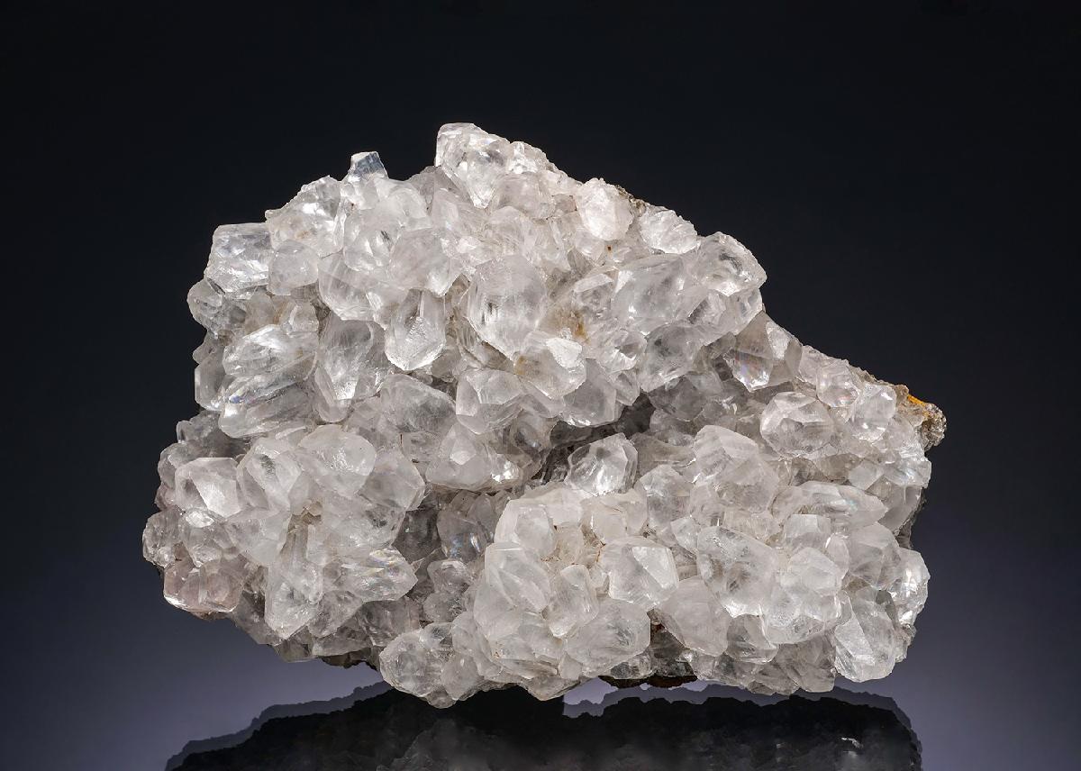 CC391 specimen image