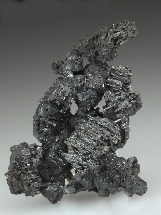 CC3924 specimen image