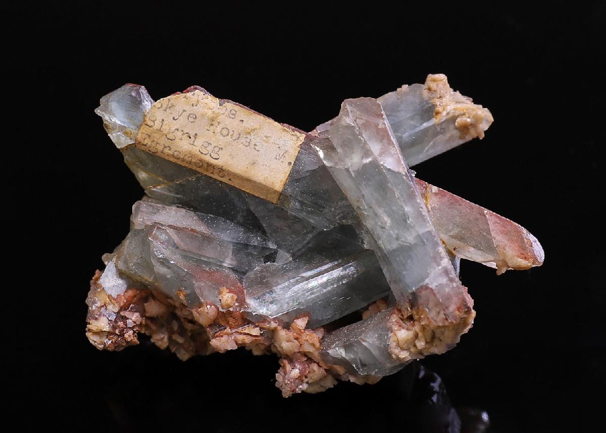 CC39279 specimen image