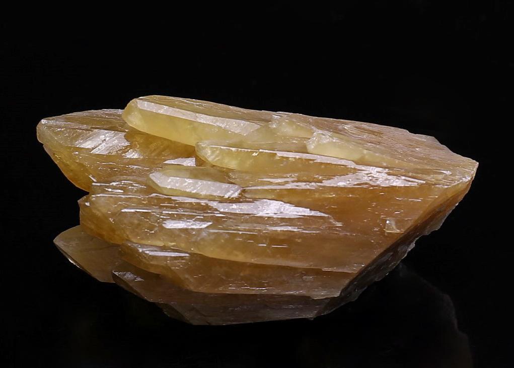 CC39297 specimen image