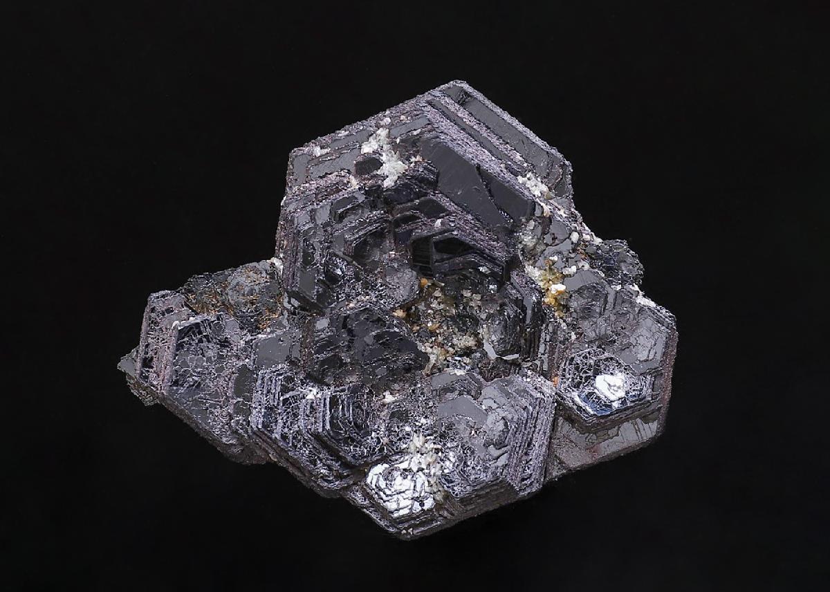 CC39603 specimen image