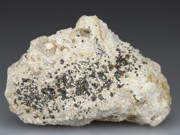 CC4000 specimen image