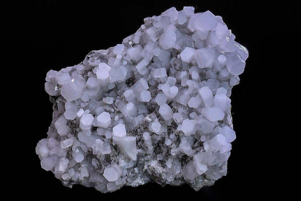 CC40637 specimen image