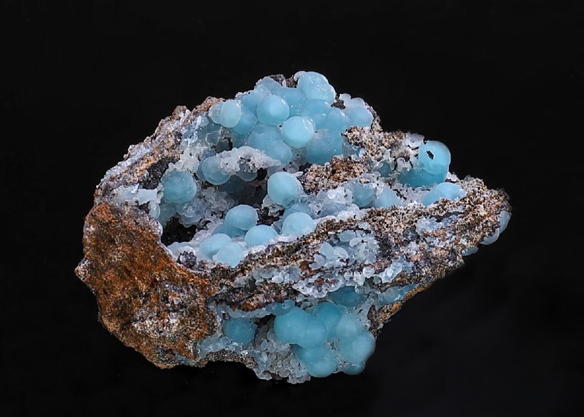 CC41034 specimen image