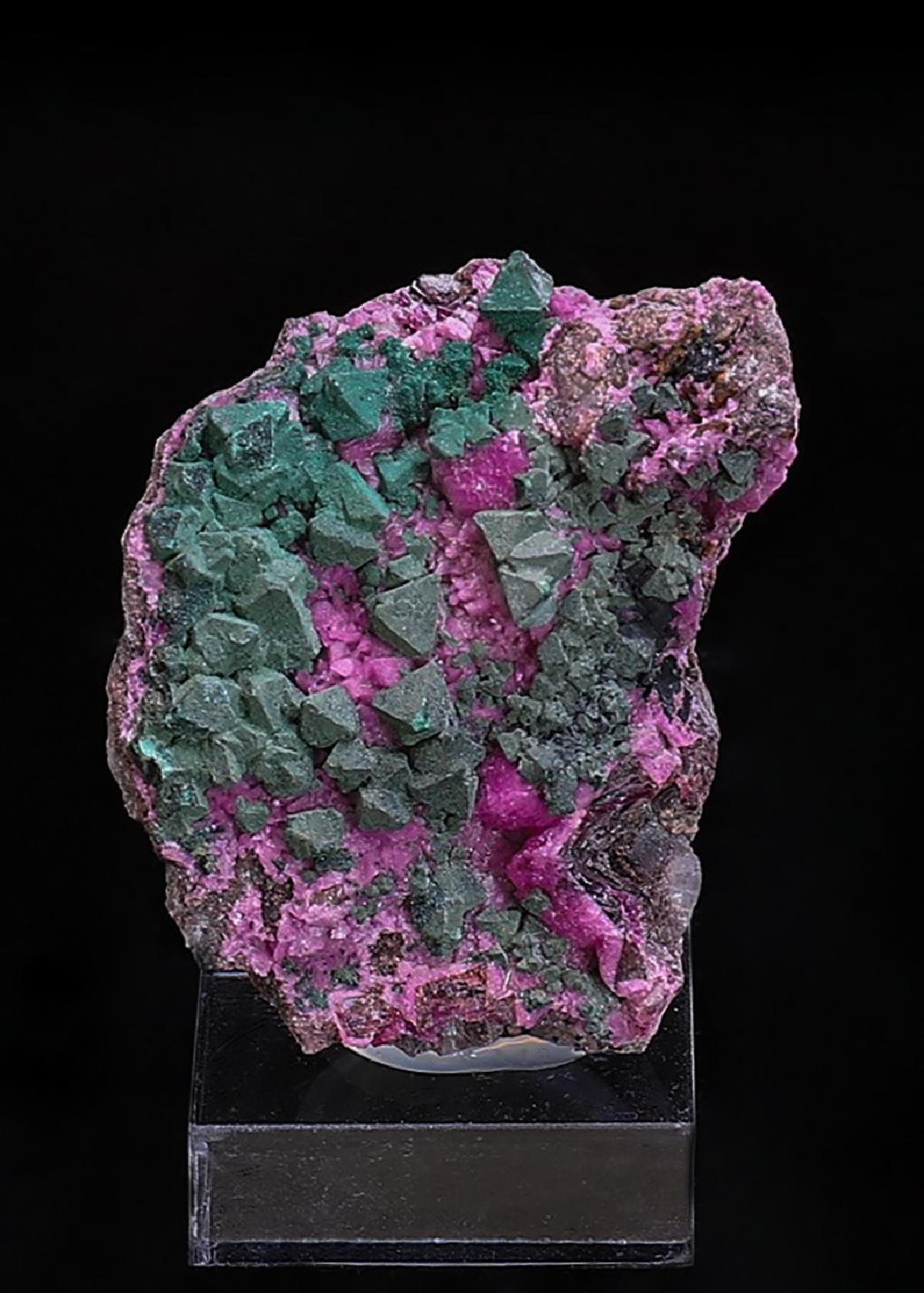 CC41103 specimen image