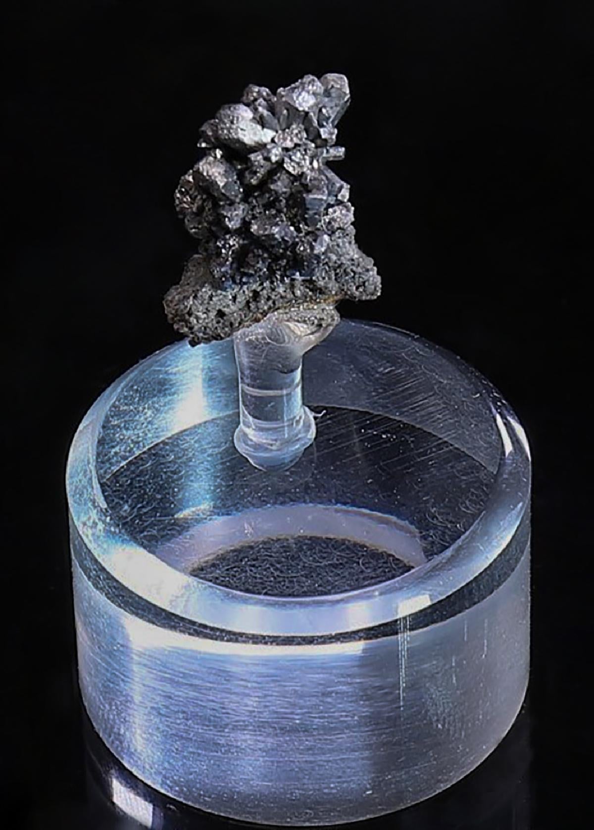 CC41169 specimen image