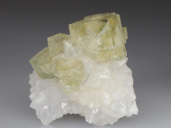 CC4166 specimen image