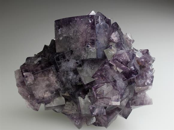 CC4173 specimen image
