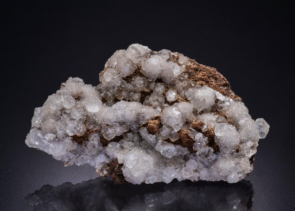 CC42192 specimen image