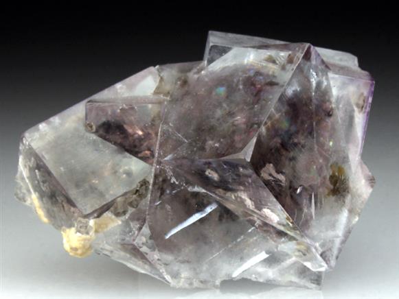 CC4299 specimen image
