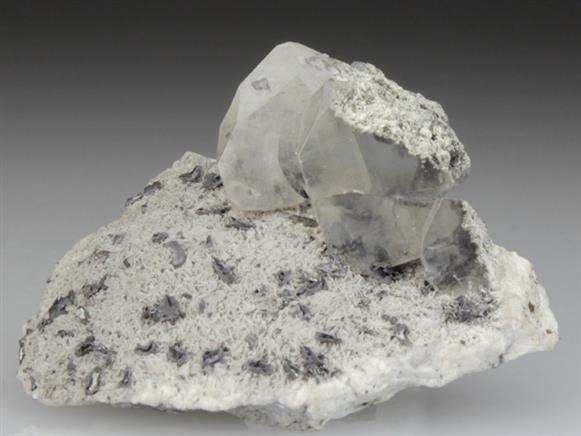 CC4307 specimen image
