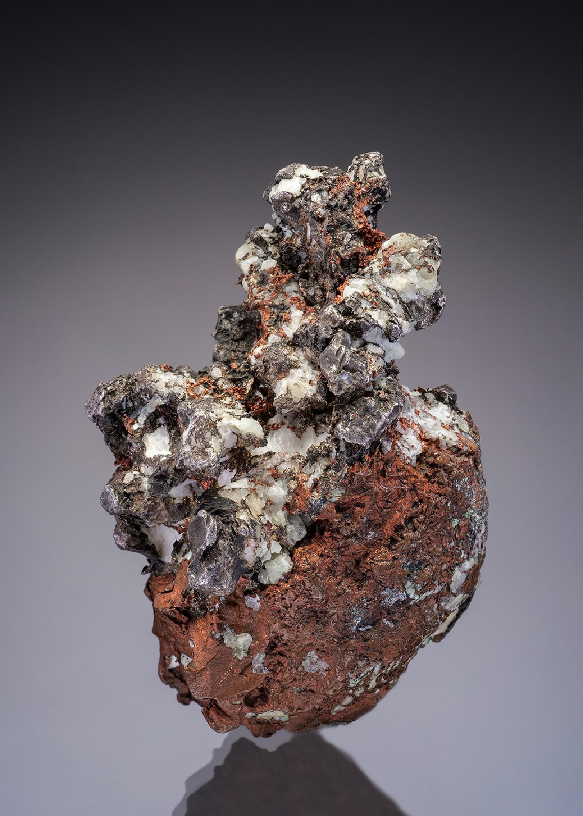 CC4313 specimen image