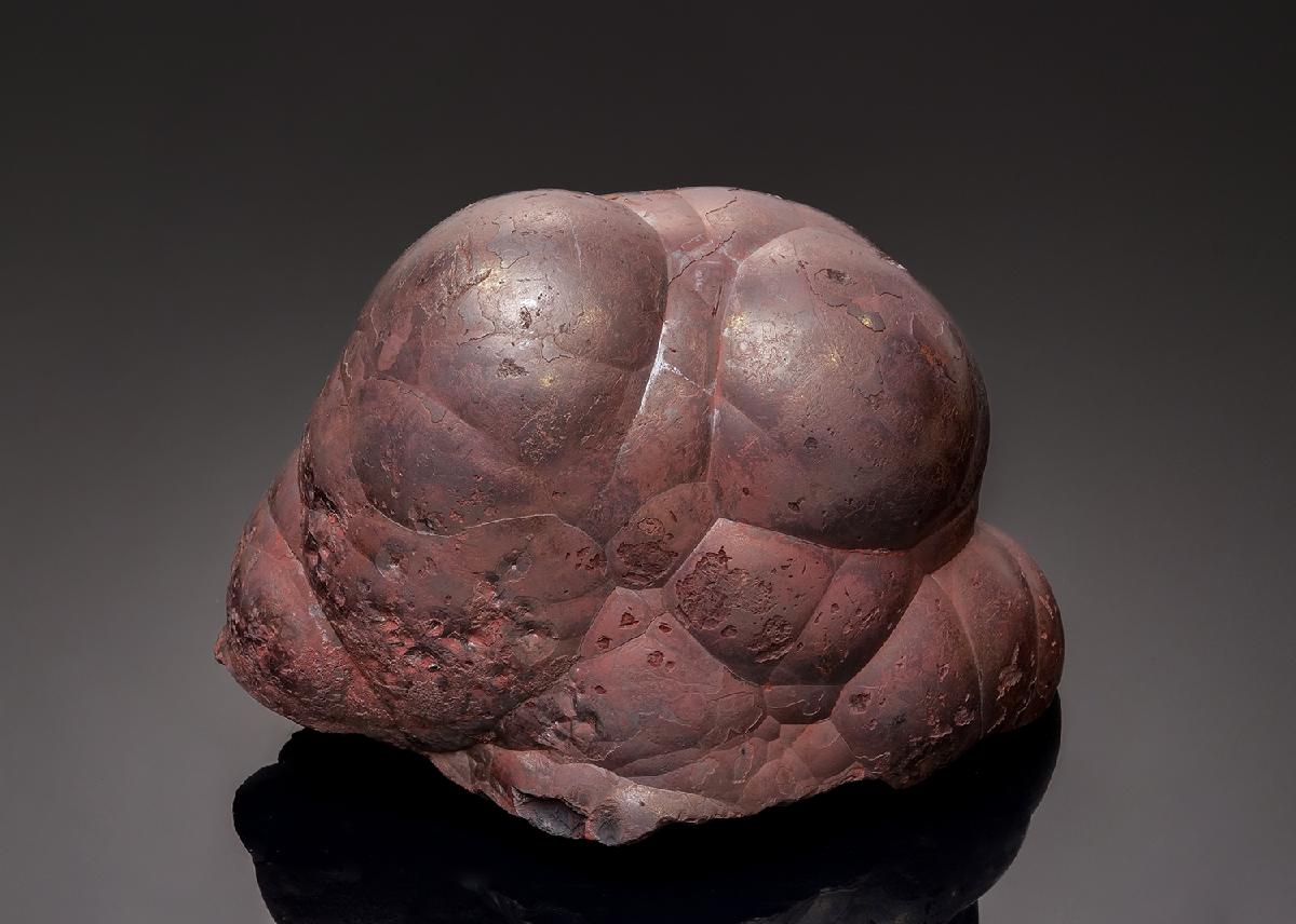 CC43298 specimen image