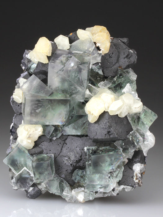CC4337 specimen image