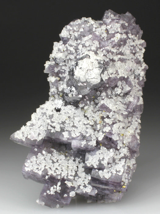 CC4355 specimen image