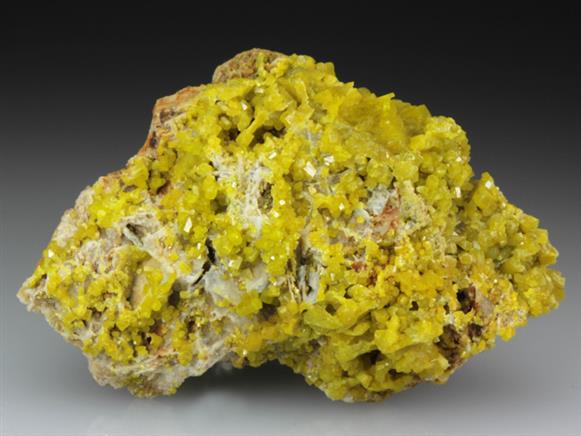 CC4367 specimen image
