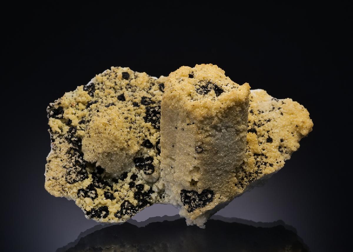 CC43892 specimen image
