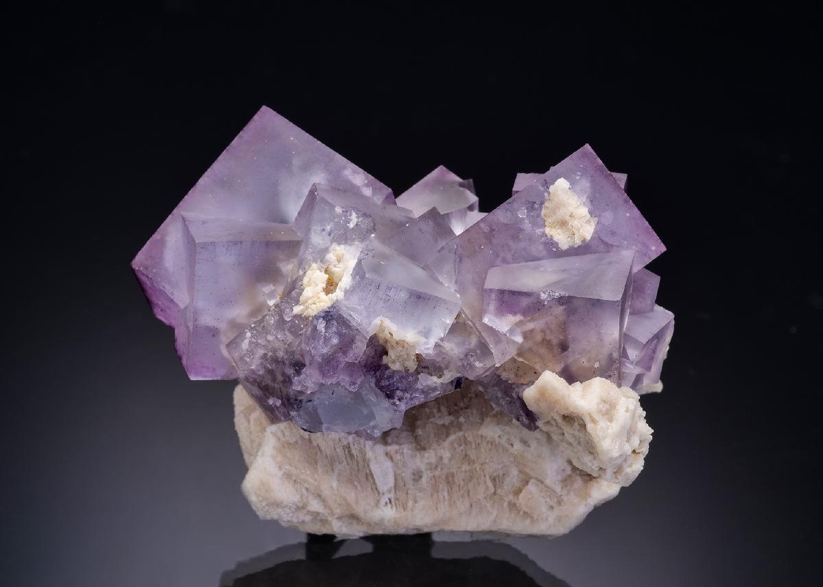 CC44122 specimen image