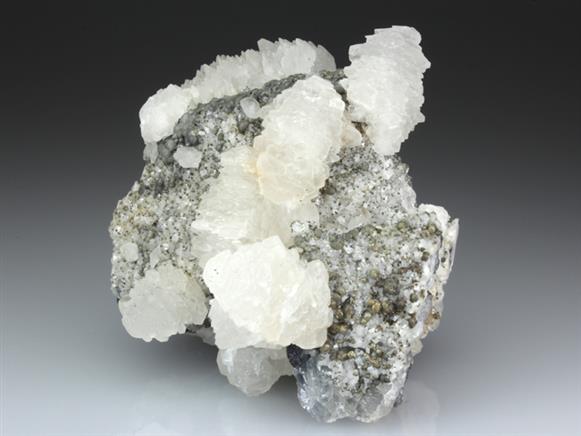 CC4430 specimen image