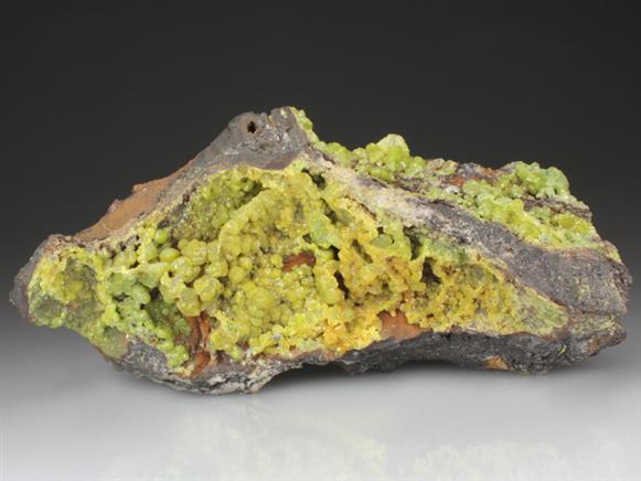 CC4459 specimen image