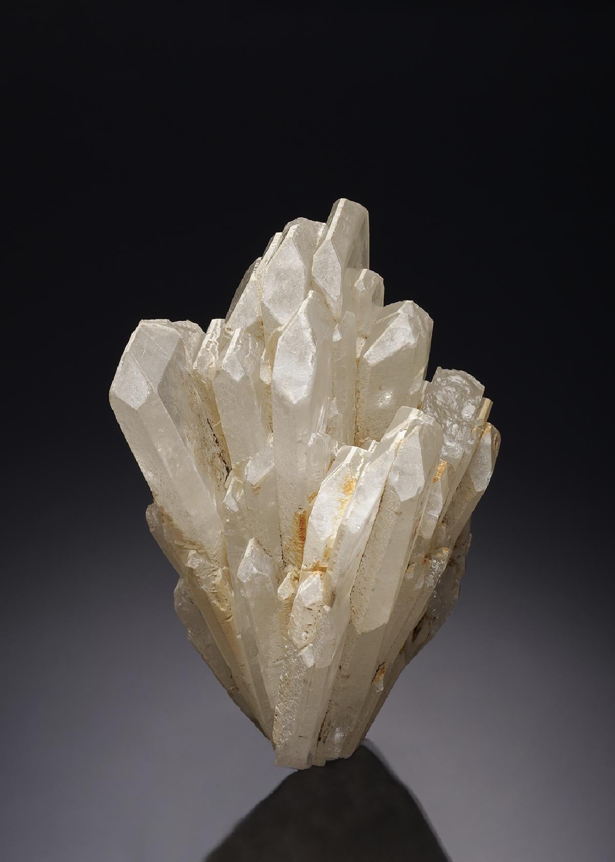 CC4630 specimen image