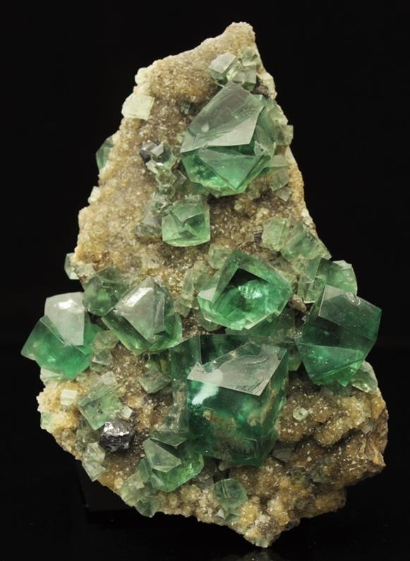 CC4695 specimen image