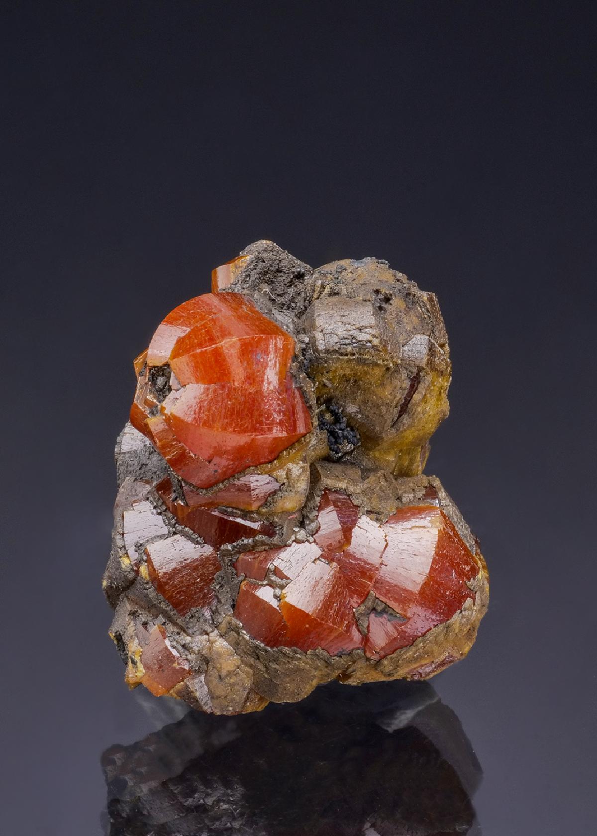 CC47786 specimen image