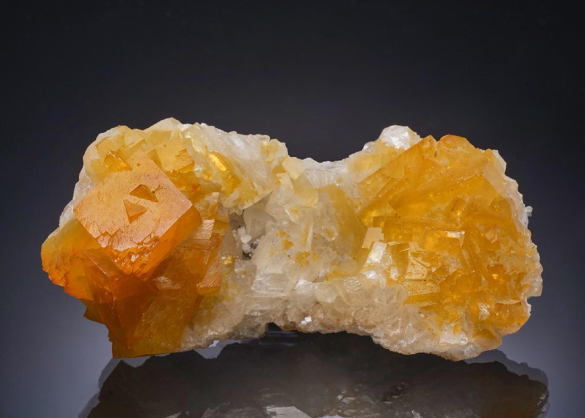 CC47938 specimen image