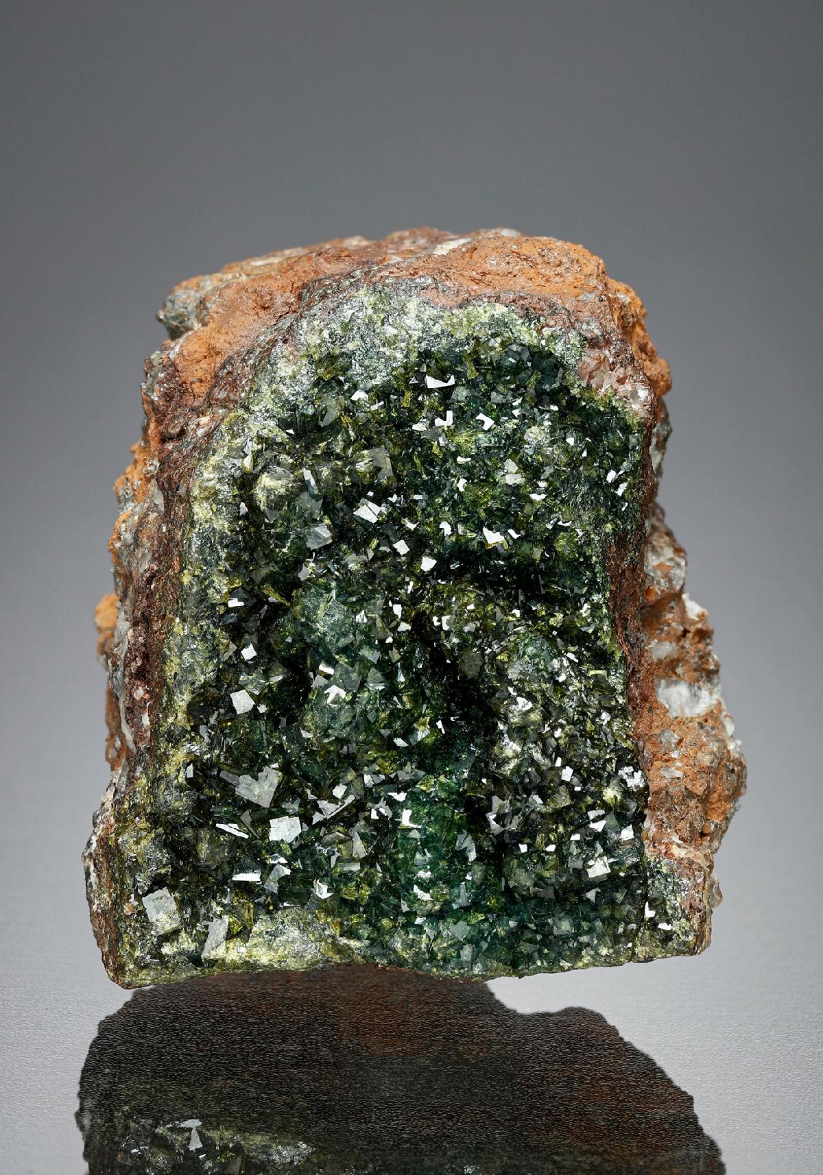CC48636 specimen image