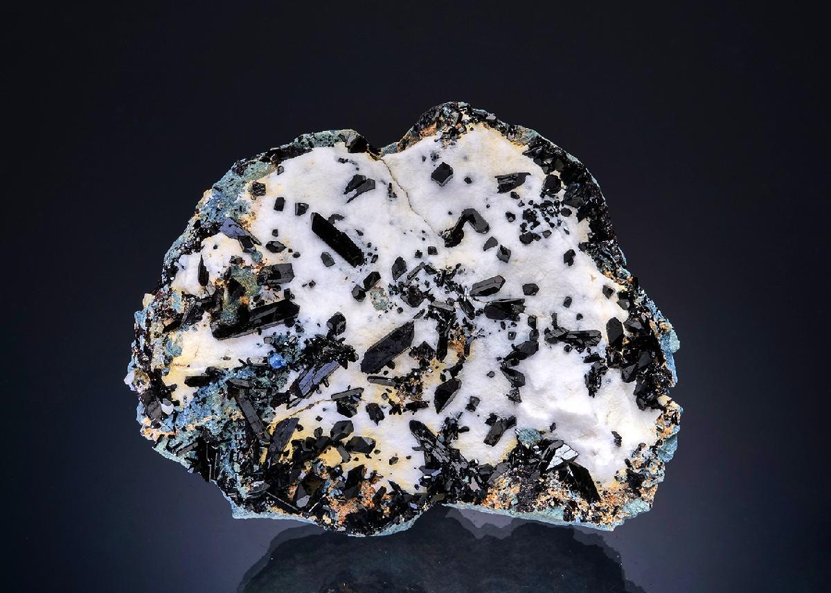 CC48828 specimen image
