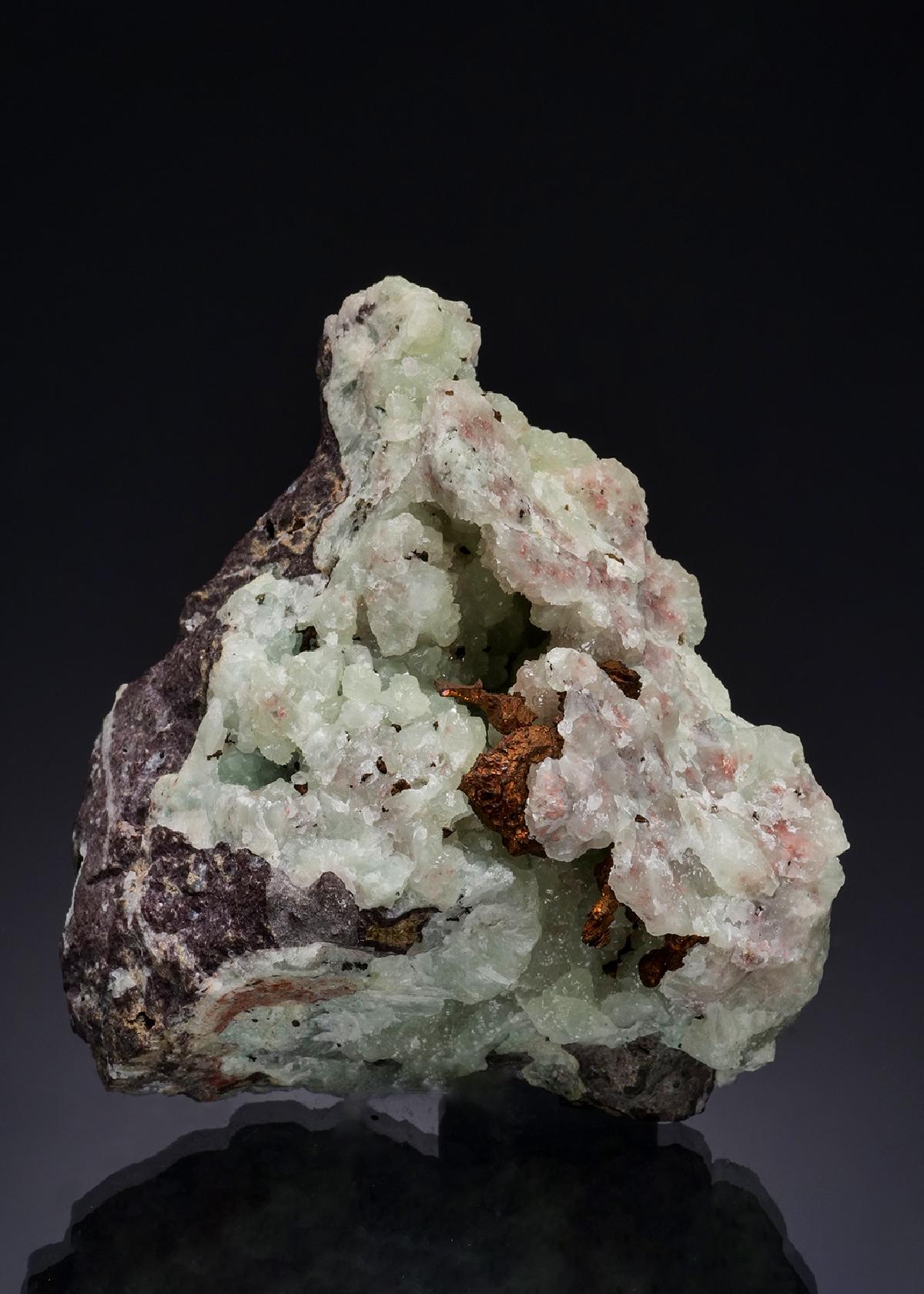 CC49490 specimen image