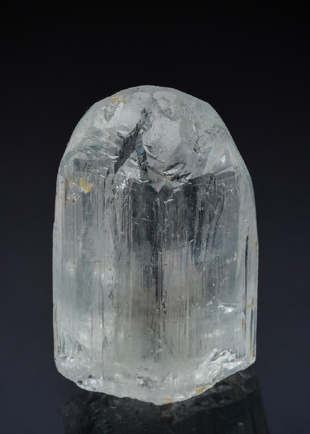 CC49626 specimen image