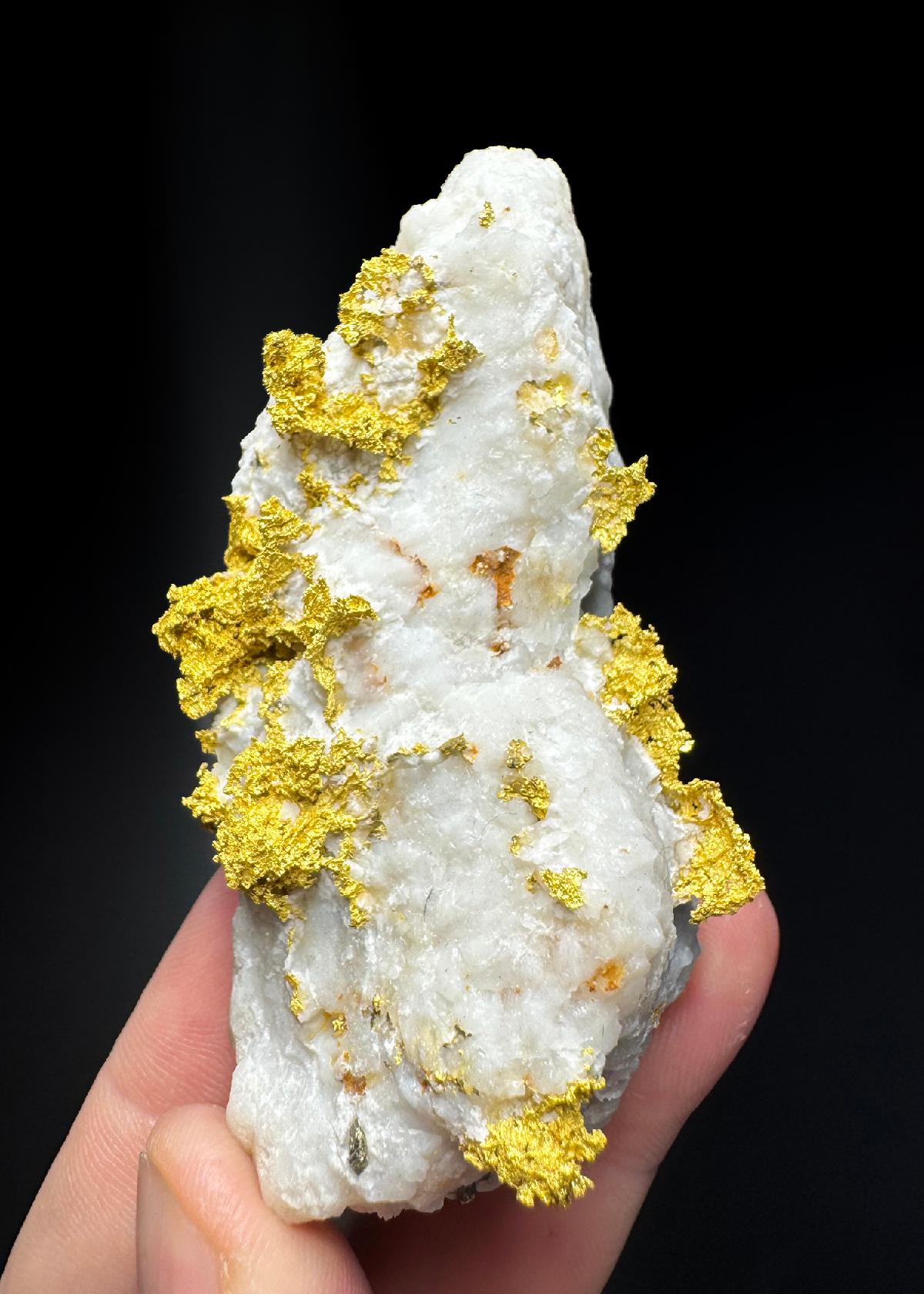 CC50400 specimen image