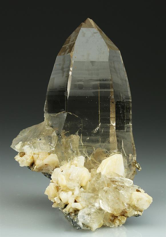 CC5055 specimen image